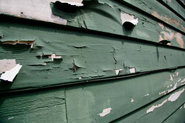  Ivyland, PA Siding Installation & Repair Pros